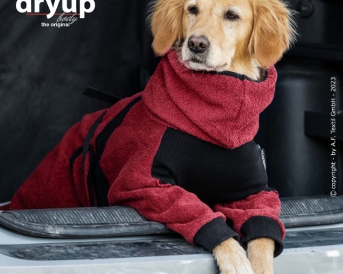 Actionfactory Dryup body zip.fit bordeaux XS