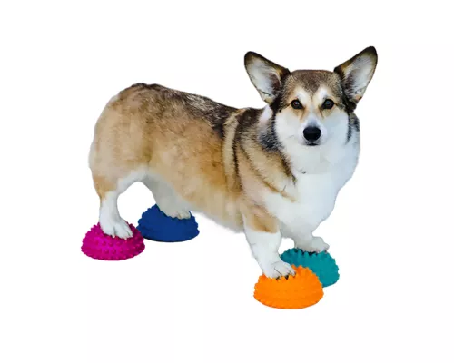 FitPAWS Paw Pods