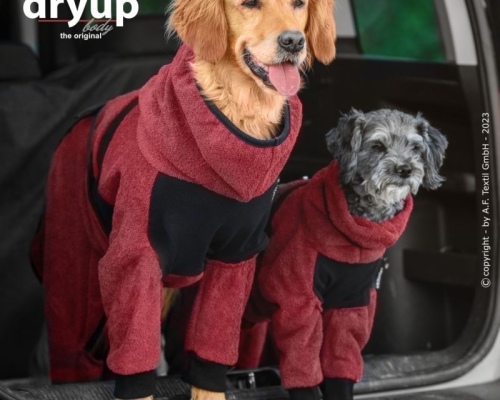 Actionfactory Dryup body zip.fit bordeaux M