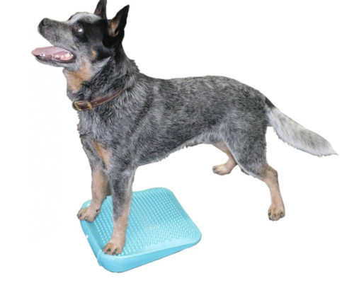 FitPAWS Dog Balance Ramp