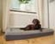 Beeztees Orthopedic rest bed Yura